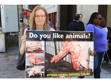Not everyone enjoyed the food offerings at Ottawa Ribfest Sunday. Michele Thorn was one of a handful of protesters who demonstrated at Sparks and O'Connor streets.