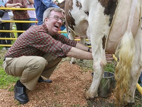 OTTAWA, ON: JUNE 6, 2014:  Mayor Jim Watson takes part in the celebrity cow milking contest outside Ottawa City hall.as part of the Mayor�s Rural Expo and Food Aid Day.  ( Chris Mikula / Ottawa Citizen) For CITY story Assignment # 117340