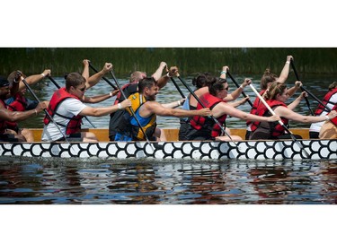 Paddlers hit the water hard Sunday at The 21st Tim Hortons Ottawa Dragon Boat Festival which took place this past weekend at Mooney's Bay Park.