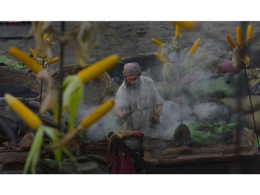 A Pakistani vendor loads roasted corn onto a handcart in Lahore on June 13, 2014. Pakistan is gripped by a chronic energy crisis which has put a brake on industrial productivity, and is struggling to control inflation, currently at 8.6 per cent.