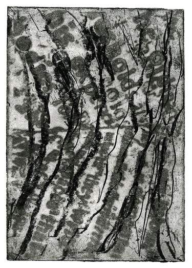 Mana Rouholamini's Connecte, 2009, etching (photocopy transfer, soft ground), 13 x 18 cm, courtesy of the artist.