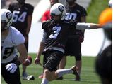 Injury jeopardizes season for Redblacks kicker Brett Maher