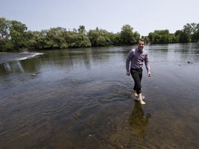 Councillor Mathieu Fleury wades in the shallow waters of the Rideau Riverat the site of a new pedestrian and cycling bridge across Rideau River, linking Donald Street with Somerset Street East.