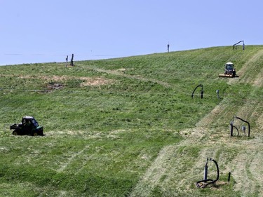 A worker cuts the "Carp Mountain" grass at Carp Dump on Thursday, July 24, 2014.