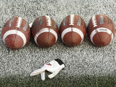 Balls wait on the sideline during warm-up for the Ottawa RedBlacks home opener at TD Place on Friday, July 18, 2014.