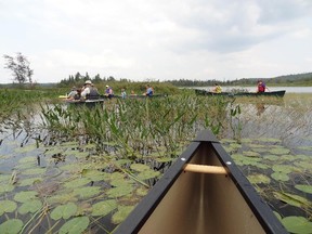 Get up close and personal with the Raquette River on a guided canoe trip.