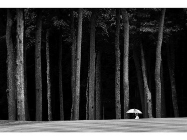 OWINGS MILLS, MD - JULY 27: (EDITORS NOTE: Image has been converted to black and white.) A spectator walks along the 4th fairway during the final round of the International Crown at Cave Valley Golf Club on July 27, 2014 in Owings Mills, Maryland.