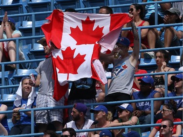 Fans of the Toronto Blue Jays wave Canadian flags on Canada Day during MLB game action against the Milwaukee Brewers on July 1, 2014 at Rogers Centre in Toronto, Ontario, Canada.