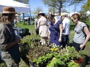 It's the last day for the Farmers Market at Brewer Park