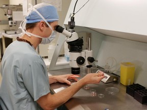 An embryologist works in the Regional Fertility Program lab in Calgary.