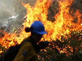 Parks Canada workers set fire to a portion of Camelot Island in the Thousands Islands in Mallorytown, Ont., this week.