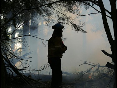 Parks Canada workers set fire to a portion of Camelot Island in the Thousands Islands in Mallorytown, ON, Tuesday July 22, 2014. The fire is intended to protect the pitch pine, a rare, fire-dependant tree species unique to the area.