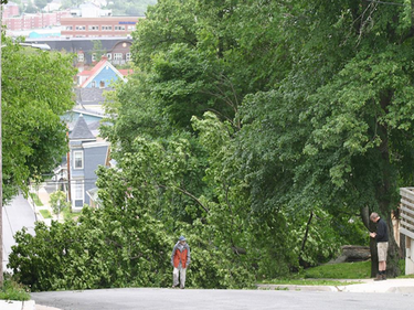 Dartmouth, N.S. residents examine a tree that has toppled onto power lines by tropical storm Arthur on Saturday July 5, 2014.