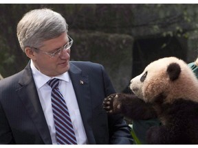 A panda reaches for Prime Minister Stephen Harper during a photo at the Chongqing Zoo in Chongqing, China, in February, 2012, the last time Harper visited China.