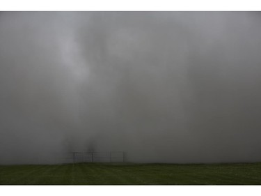 The Sir John Carling Building is obscured by dust after it was demolished early Sunday morning, July 13, 2014.