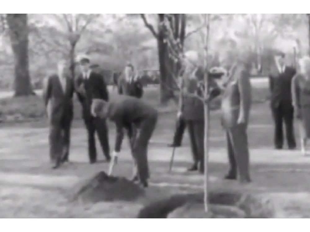 Andrew King JFK and how a treeplanting at Rideau Hall rippled through