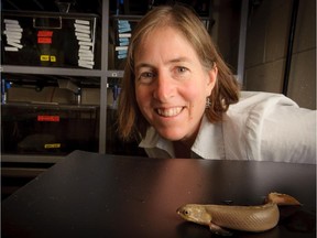 Emily Standen, biology professor at the University of Ottawa, with an African fish that can walk on land.