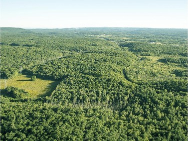 An aerial photograph taken from a hot air balloon shows the Gatineau Hills, right, in Gatineau Friday, August 29, 2014.