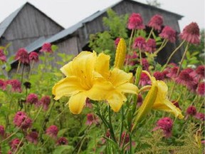 Image from Les Jardins D'Emmarocalles, which closes its garden featuring 1,500 cultivars to the public on September 1.