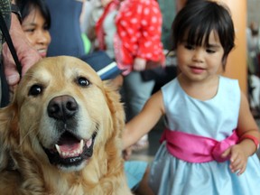 This four-legged friend, Indy, got some lovin' from Victoria Nicholson, two, at the Ottawa Humane Society's Summer Harvest Garden Party, held at Ottawa City Hall on Sunday, August 10, 2014. (Caroline Phillips / Ottawa Citizen)