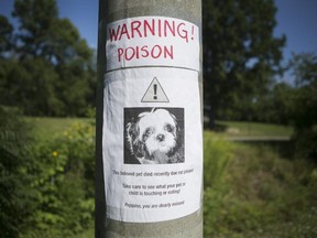 Liz Ciesluk placed posters around her community waring people about the poisoning of her dog.  Ciesluk's 13-year-old shih tzu named Peppino, was poisoned after their usual walk through Britannia Park last Wednesday and died the next morning.