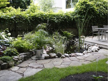 The backyard is an urban oasis. Artist Lisa Thomas designed and built a narrow stream that flows from a waterfall, along a wood deck, to a Zen-like pond in the middle of the yard, which is adorned with bulrushes, hydrangeas, astilbes and Virginia creeper.