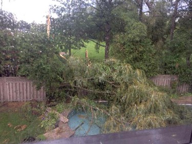 Damage to our backyard after the storm.