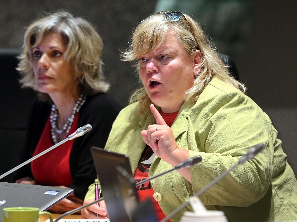 City Hall Blog McRae chairs last environment meeting, gives warning Ottawa Citizen