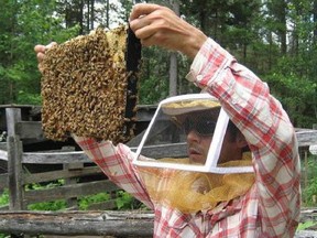 Learn about beekeeping on the Just Food farm on Sept. 13.