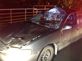 Police photo shows damage to the front of a car that struck a horse near La Peche Monday night.