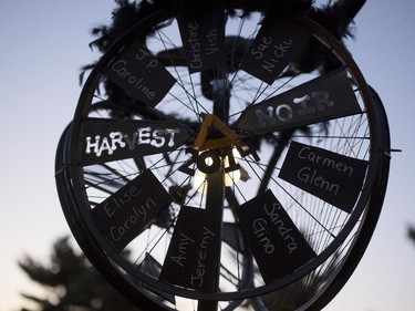 Hundreds of people gathered at the 2014 Harvest Noir picnic, Sept. 27, 2014.