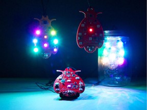 Ottawa artists Mark Stephenson, Darcy Whyte, and Michael Grant have created 250 interactive "fireflies" for Nuit Blanche.