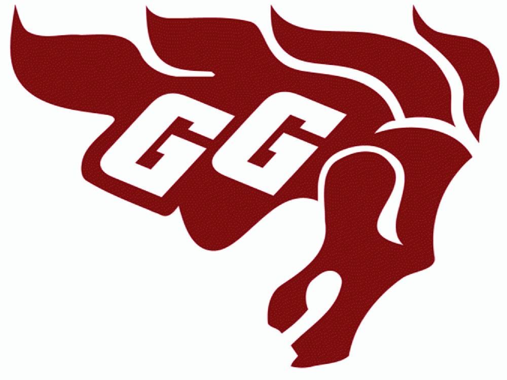 Football Gee-Gees stun Gaels with comeback | Ottawa Citizen