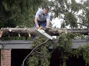 Pierre Lemay uses a chainsaw  to take apart a tree that fell on a building on High Street in Ottawa on Saturday, Sept. 6, 2014, one day after heavy storms downed trees and power lines, leaving thousands without power.