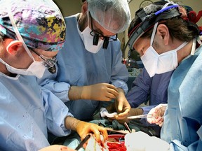 The live liver transplant can be harder on the donor than the recipient, some say.