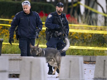 A police dog searches the scene Oct 23 at the Cenotaph where a soldier was shot dead Oct 22.