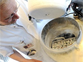 A technician opens a vessel containing women's frozen egg cells on April 6, 2011 in Amsterdam.