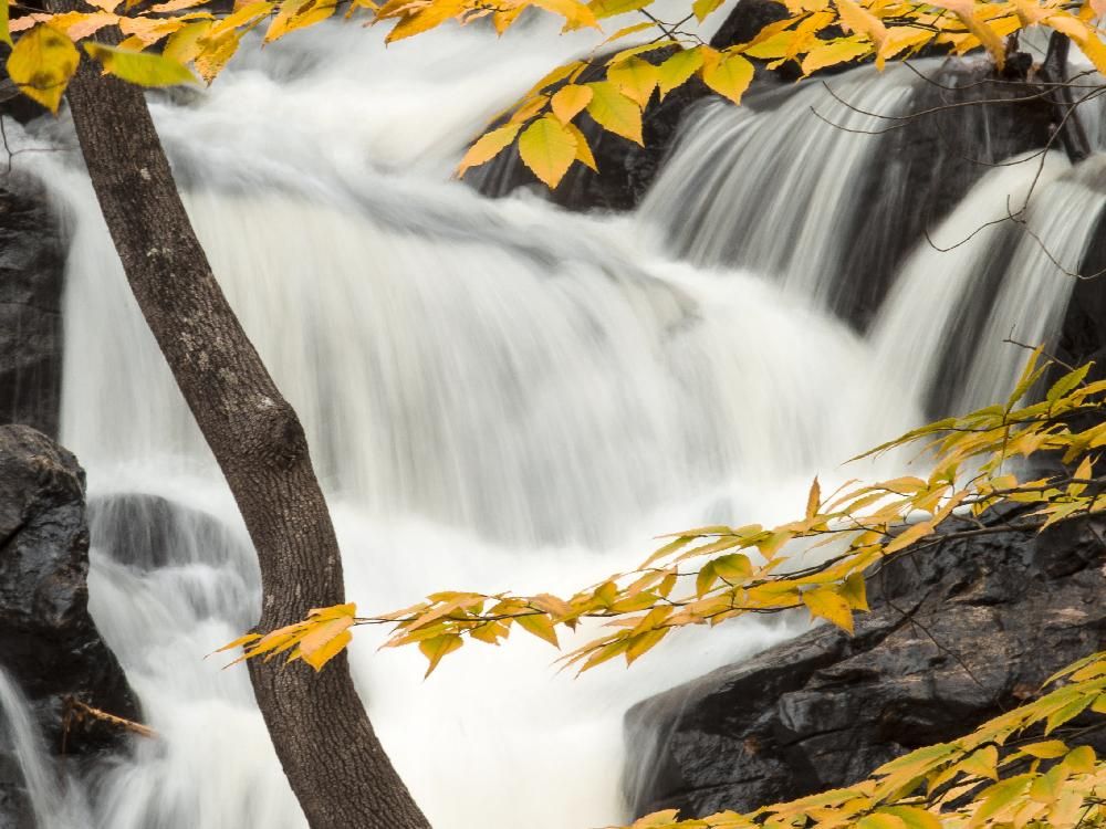 Photos: Fall Colours | Ottawa Citizen