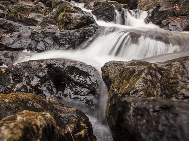 Photos: Fall Colours | Ottawa Citizen