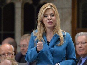 Eve Adams, Conservative MP and parliamentary secretary to the minister of health, speaks in Question Period.