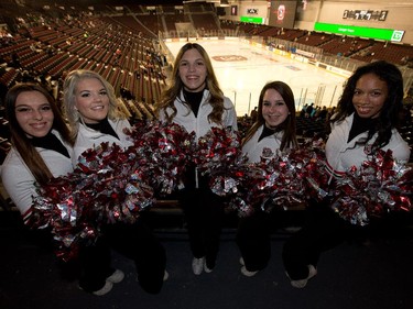 Cheerleaders from left Alyssa Radulescu, Amber Horricks, Paige Davidson, Grace Mayhew and Taysia Thompson are ready for the game to begin as the Ottawa 67's held their home opener in the renovated TD Place arena.