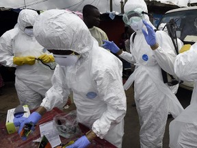 Members of the Red Cross get ready to collect the body of a person suspected of dying from the Ebola virus in the West Point district of the Liberian capital Monrovia, on October 4, 2014. By far the most deadly epidemic of Ebola on record has spread into five west African countries since the start of the year, infecting more than 7,000 people and killing about half of them.