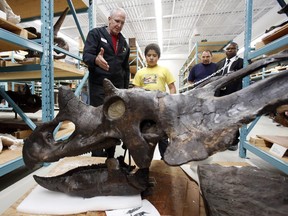 Museum of Nature vice-president Mark Graham shows Daniel Gospodinov, 10, the skull of a Chasmosaurus dinosaur at the Canadian Museum of Nature Research and Collections Facility open house in Aylmer on Saturday.