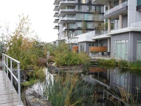 The Dockside Green development in Victoria, B.C., is recognized as one of the world’s leading examples of sustainable development.