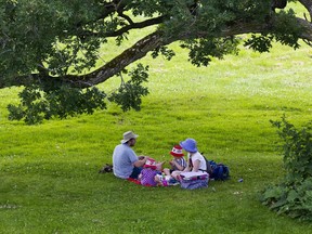 A picnic at the Arboretium at the Central Experimental Farm.