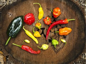 A selection of hot peppers from Matthew Vandenberg's Rideau Pines Farm.
