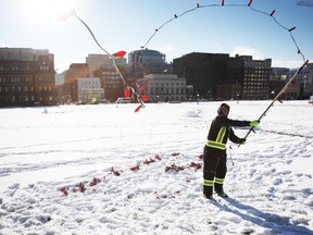 A worker flings Christmas lights on shrubs on Parliament Hill in preparation for the 30th edition of Christmas Lights Across Canada,