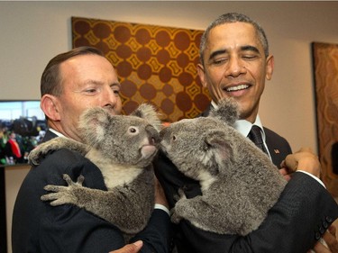 Australia's Prime Minister Tony Abbott, left, and US President Barack Obama's koalas enjoy a kiss at the G20 summit.
