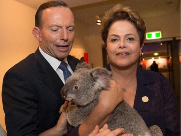 Brazil's President Dilma Rousseff looks unsure about holding the koala  at the G20 summit in Brisbane, Australia, with Australia's Prime Minister Tony Abbott.