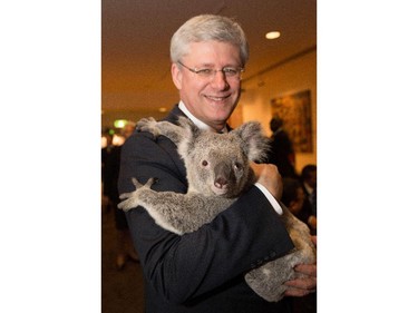Prime Minister Stephen Harper looked most comfortable holding the Koala out of the world leaders — maybe because our bears are bigger? (We know koalas are not actually bears.)